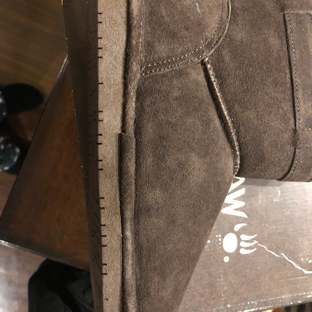 Chocolate Bearpaws *PLEASE READ BEFORE PURCHASE* - Picture 5 of 7